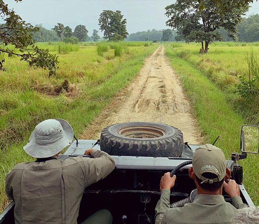 Jeep Safari