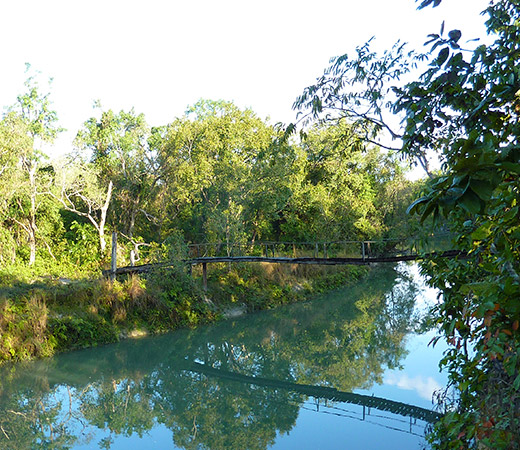 Bardia National Park