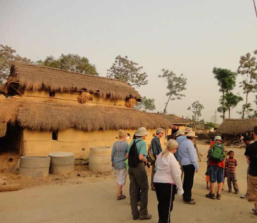 Bardia tharu village