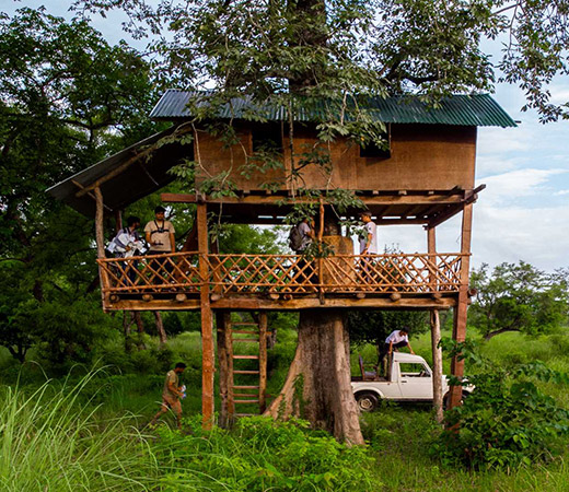 Tree House Accommodation